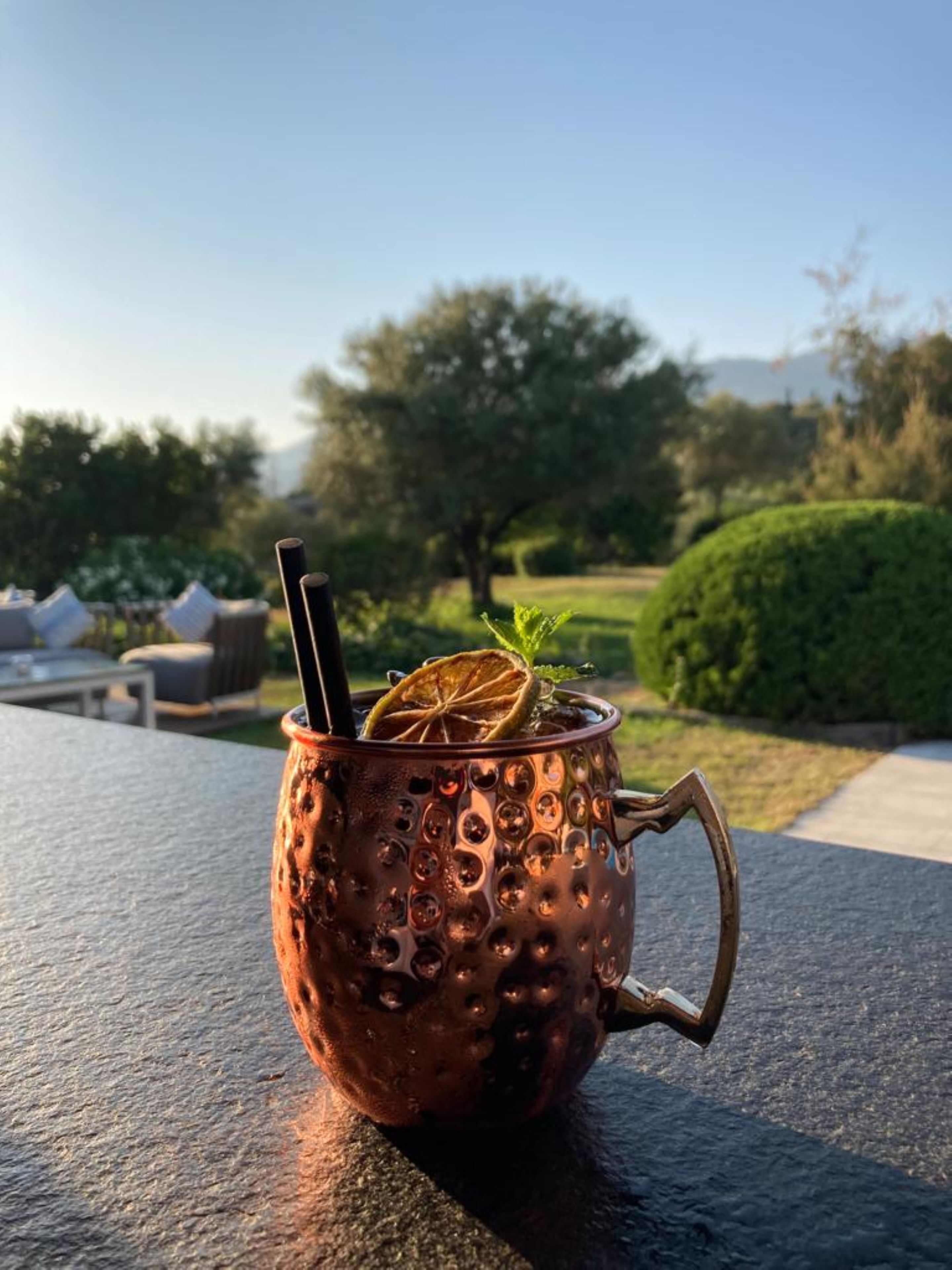Un vaso de cobre con asa sobre una mesa al aire libre.