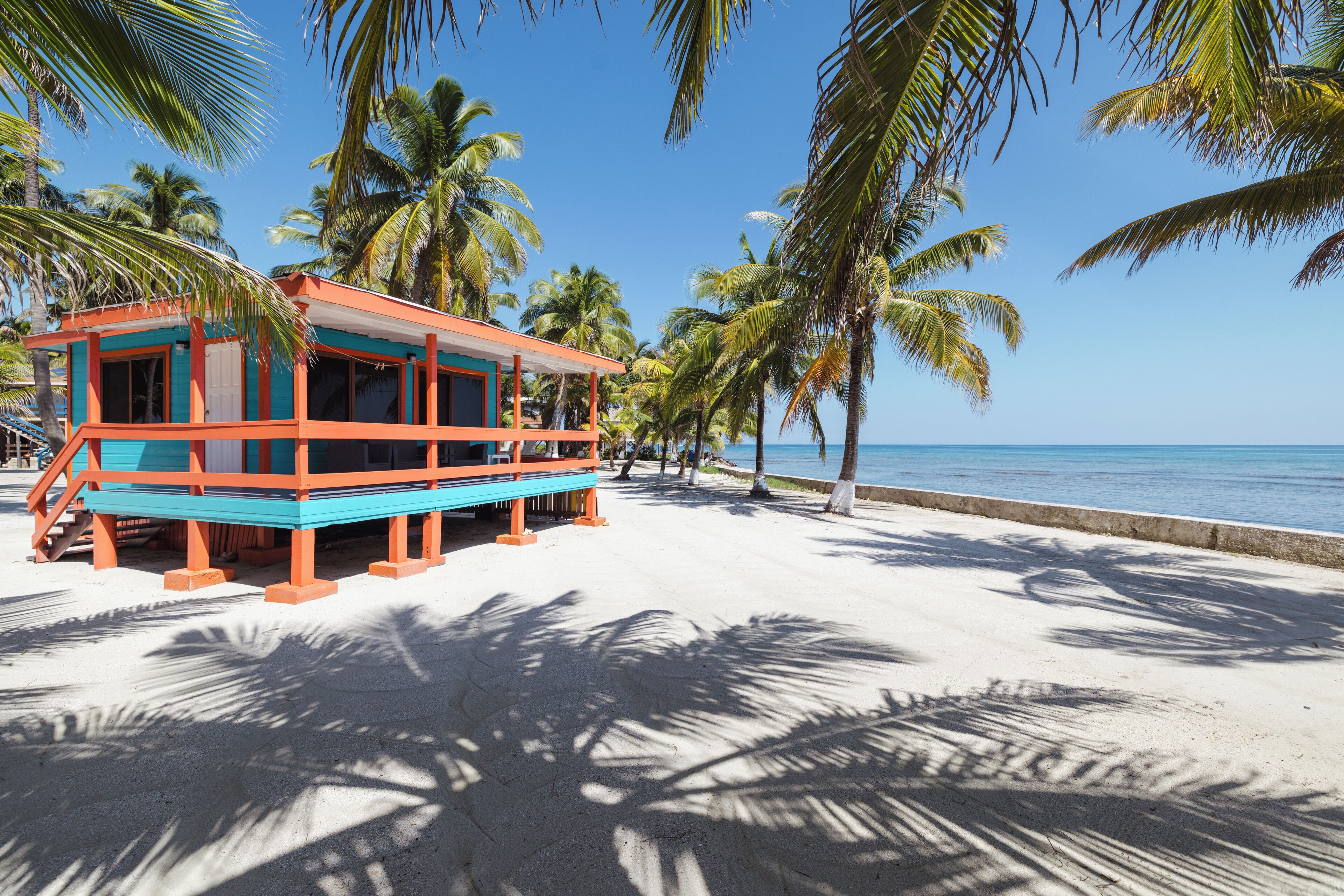 A beachside building with a blue and orange exterior, surrounded by palm trees and a sandy beach.