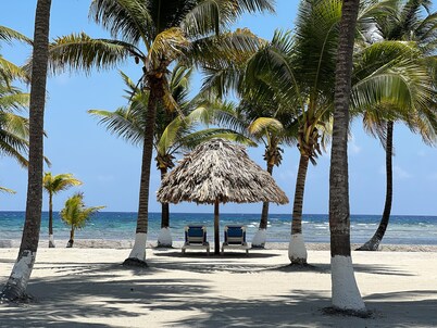 Blue Marlin Beach Resort
