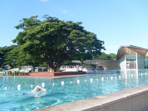 A swimming pool with a person swimming, surrounded by a modern building and a large tree. - Itara Apartments (Thuringowa Central)