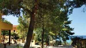 A paved pathway lined with trees and potted plants, leading towards a body of water. - Baia Tropea Resort (Parghelia)