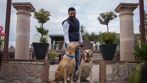A man standing between two dogs on a stone platform with columns and potted plants. - Hotel Historia (Morelia)