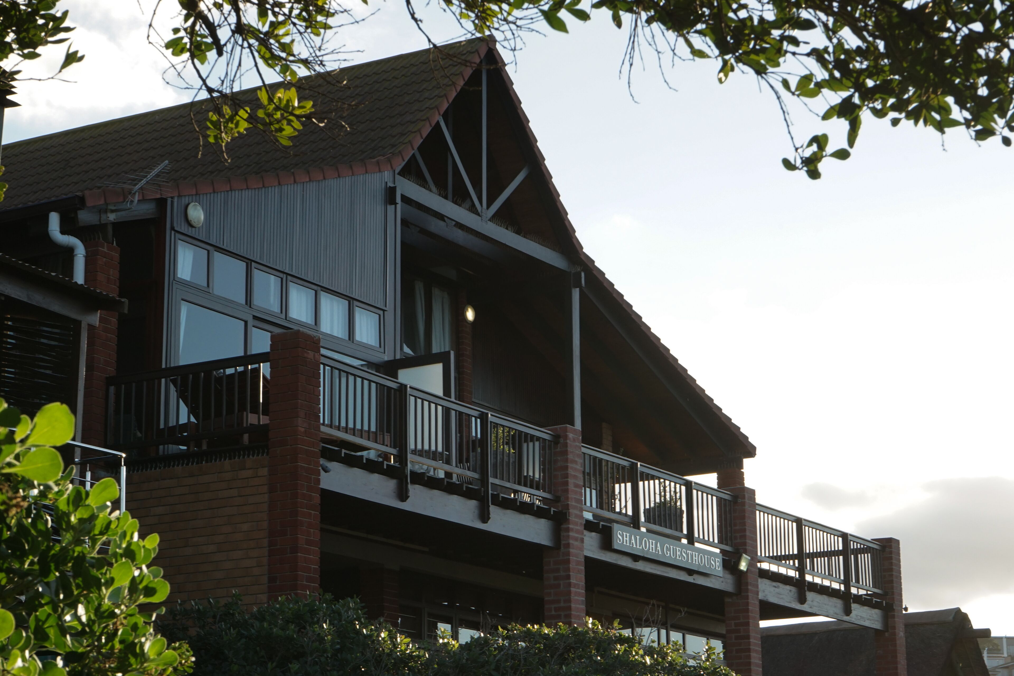 A two-story building with a balcony and a sign that reads "Shaloh Guesthouse."