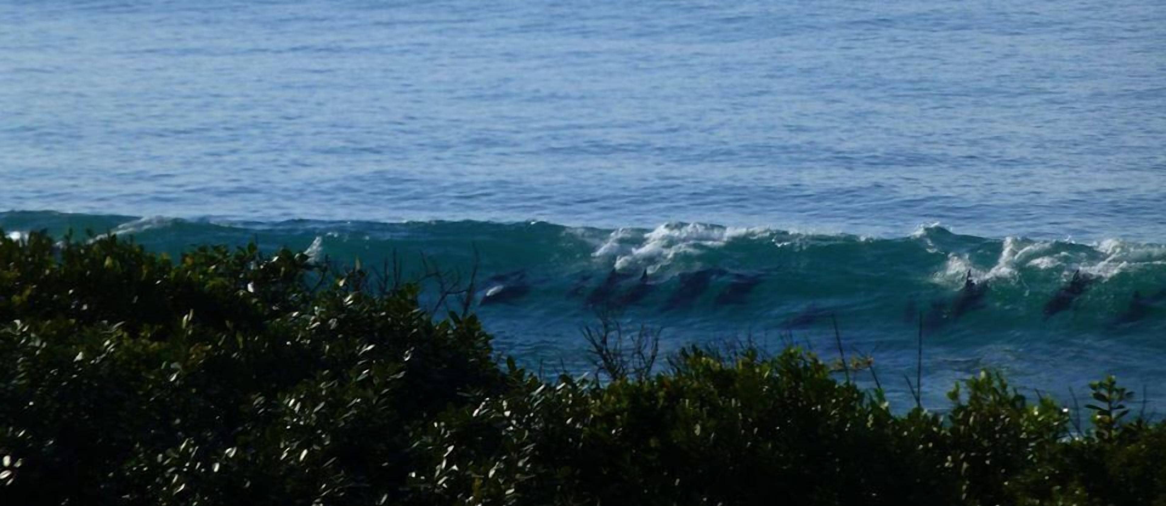 A view of the ocean with waves and a coastline in the foreground.