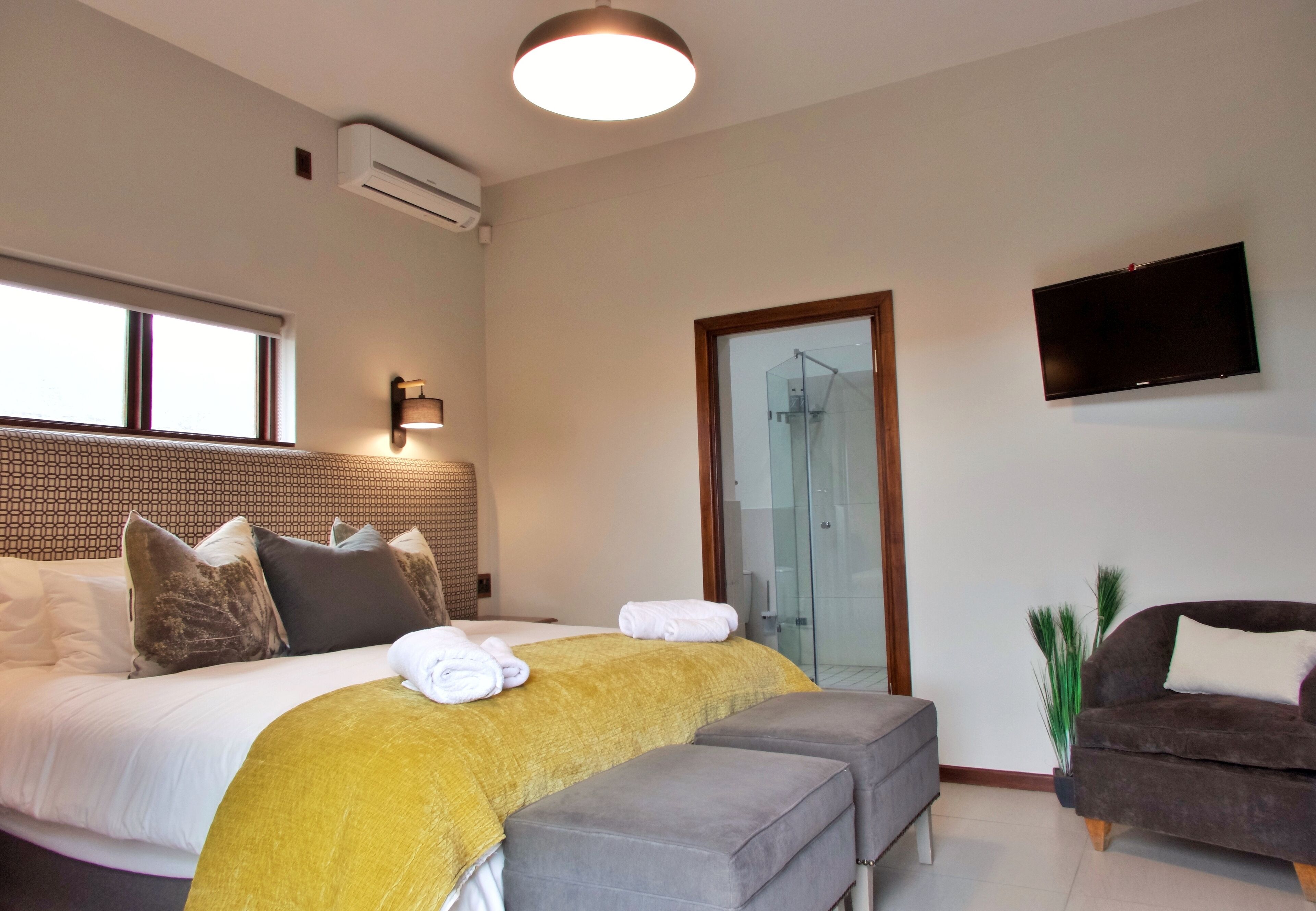 A hotel room with a bed, a sofa, a TV, and a glass door leading to a shower area.