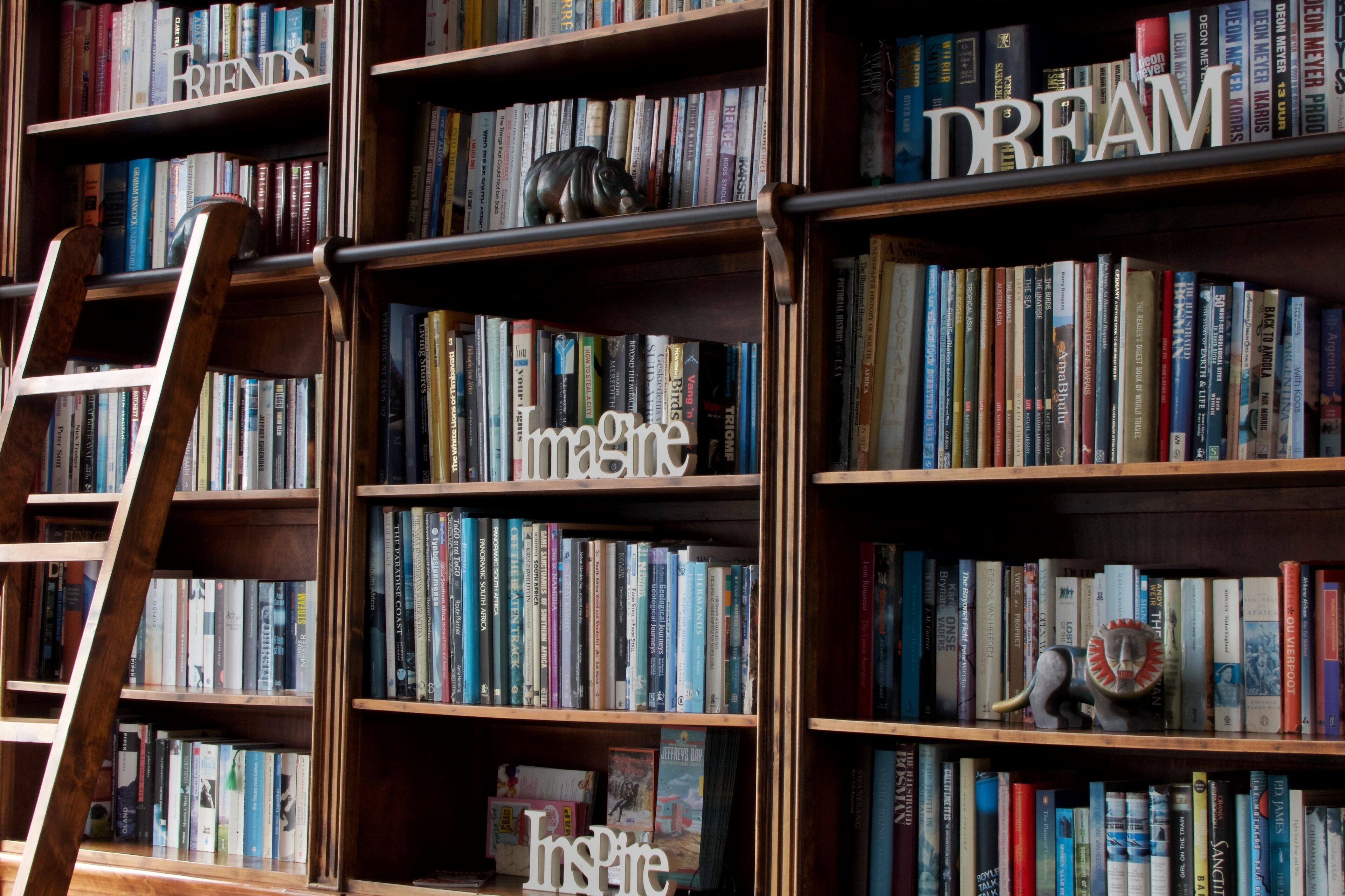 A bookshelf filled with books, a wooden ladder, and decorative items.