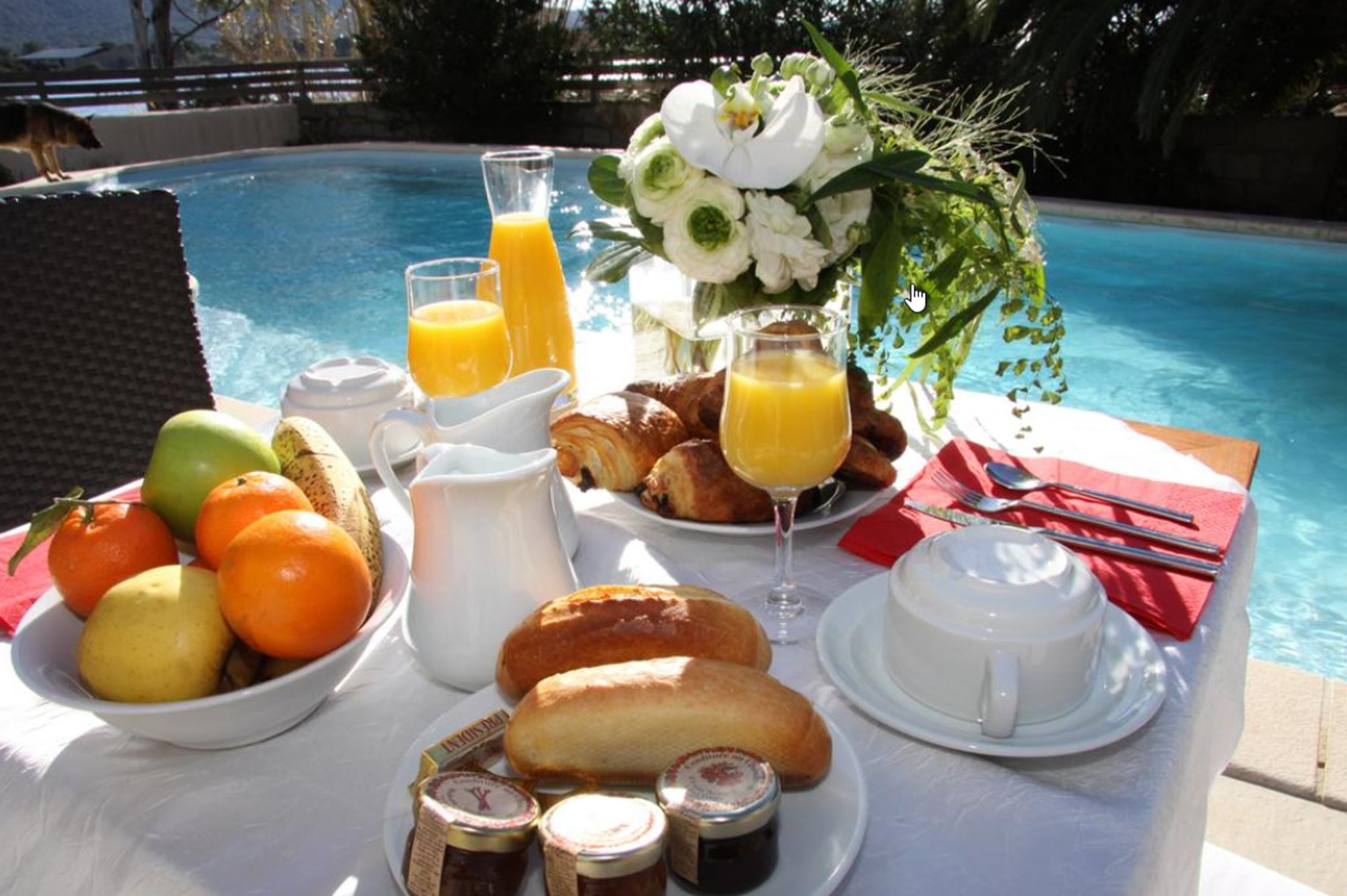 Café da manhã com buffet todos os dias (EUR 16 por pessoa) 