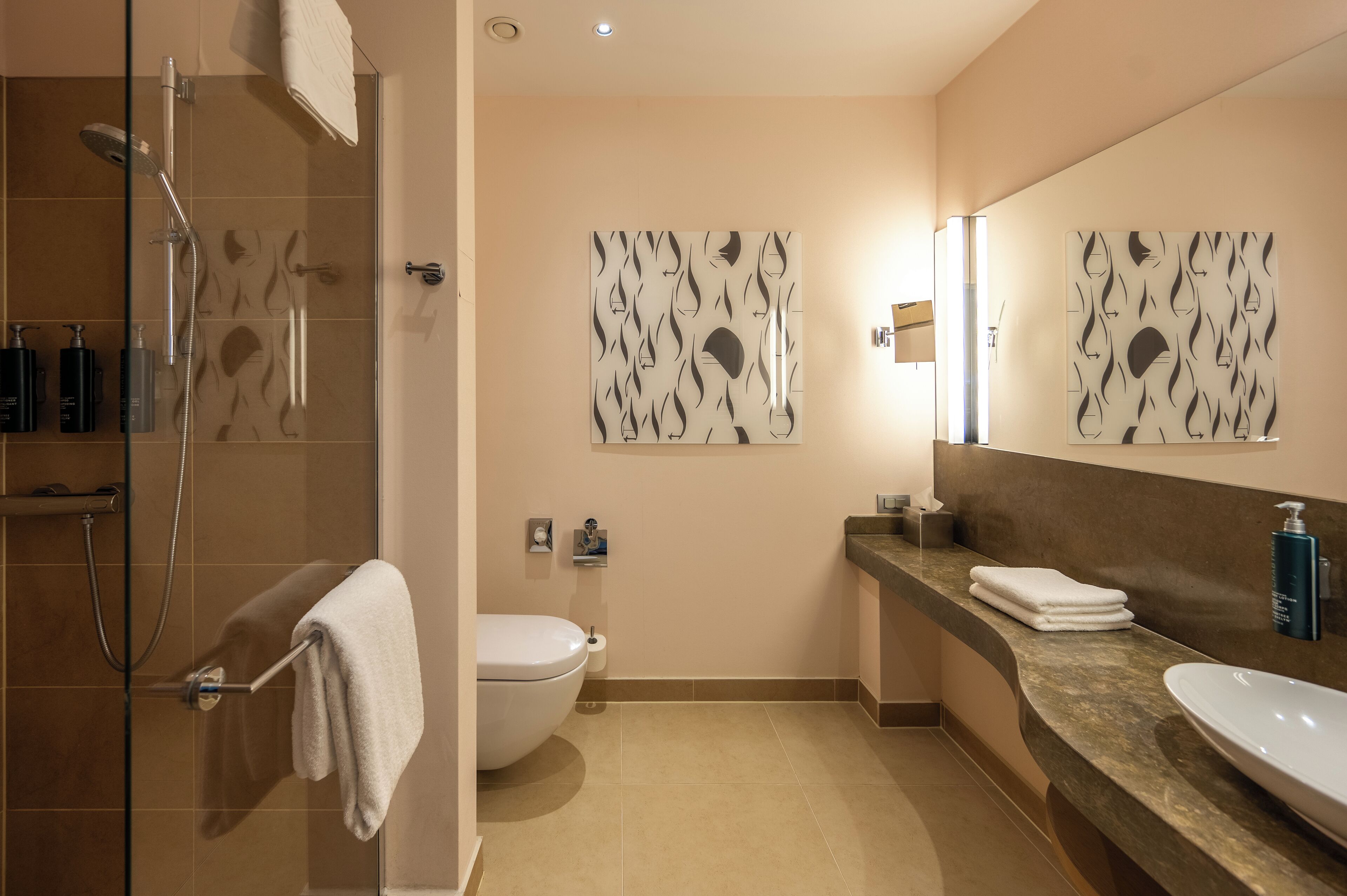 A modern bathroom with a glass shower enclosure, a toilet, a sink, and two wall-mounted mirrors.