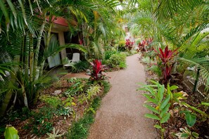 Garden - Smugglers on the Beach (Korora)
