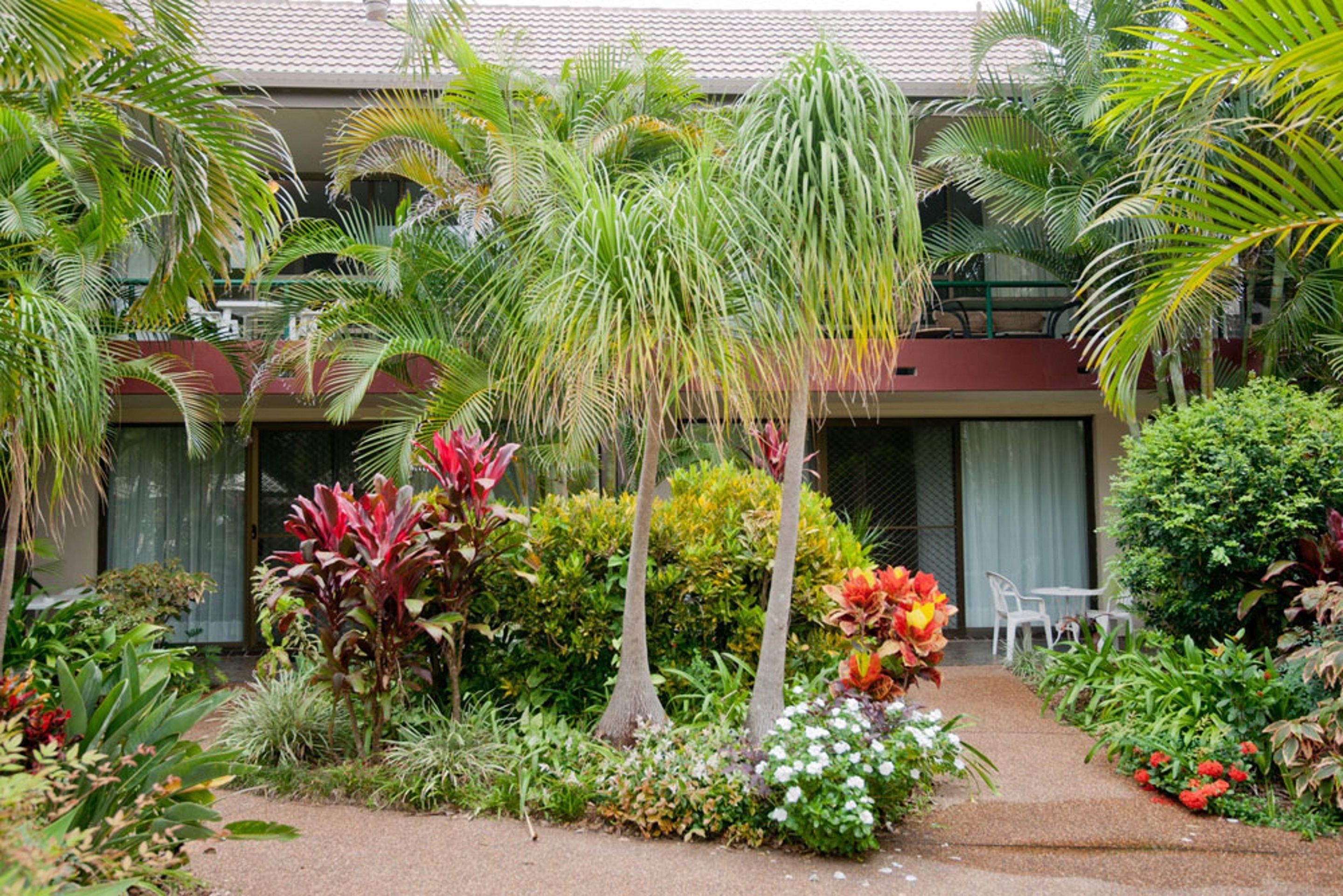 A lush garden with various tropical plants and a pathway leading to a building with a red roof and white walls.