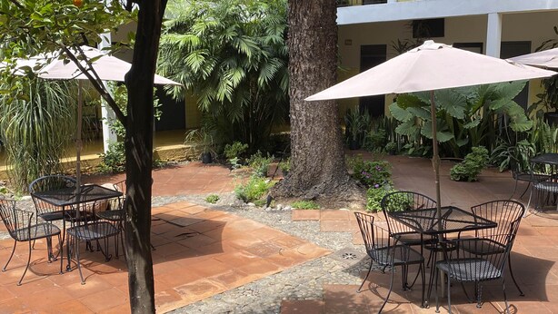 Garden - Hotel Allende Morelia (Morelia)