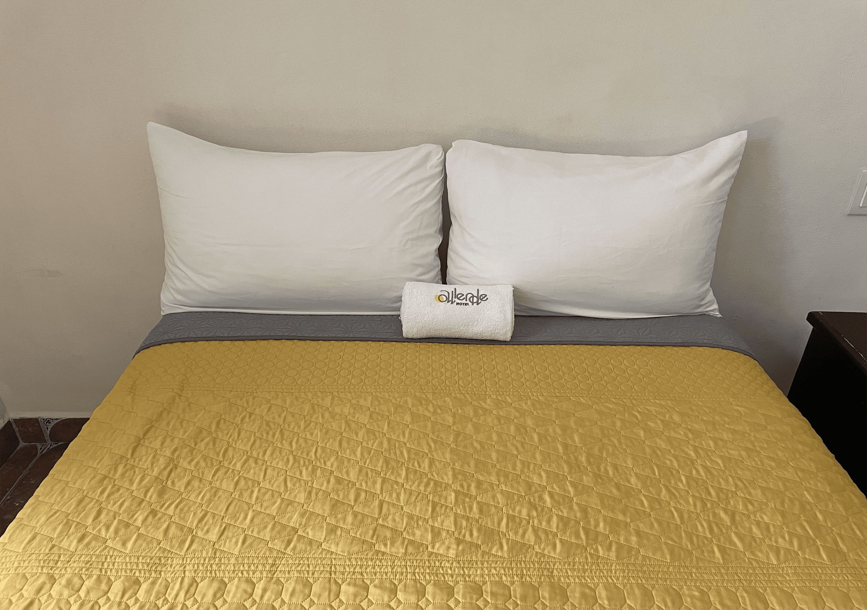 Foto - Hotel Allende Morelia