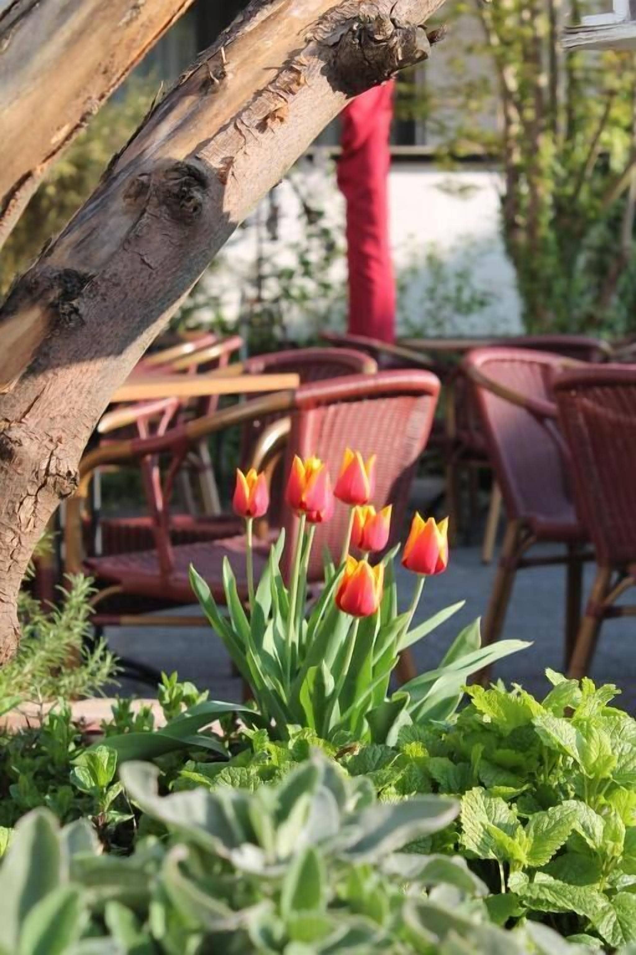 Foto - Hotel Kölner Hof Refrath