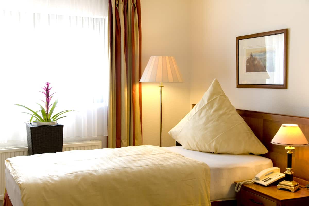 Standard Single Room | Desk, iron/ironing board (on request), cribs (surcharge), WiFi (free)