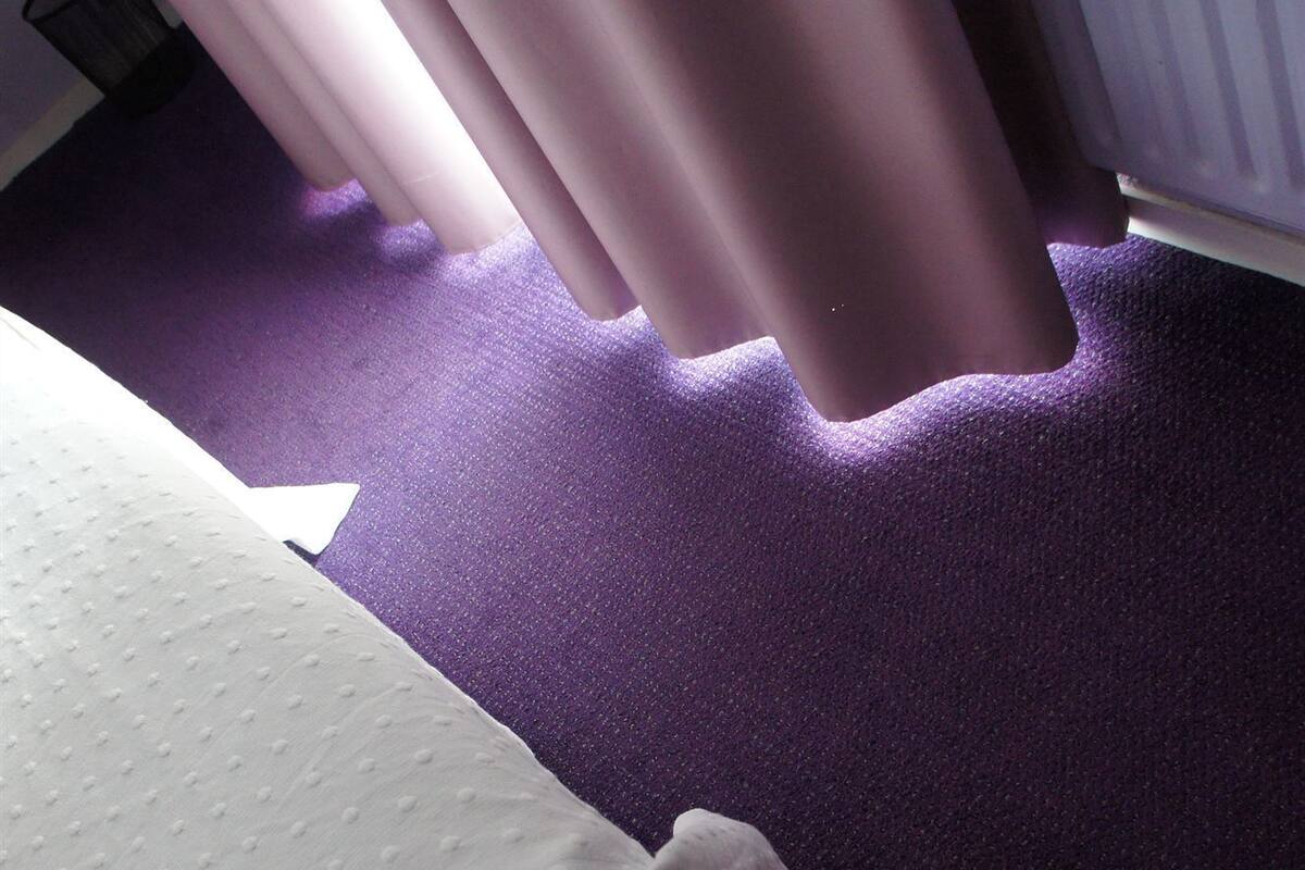 A bed with a white mattress and a purple carpeted floor.