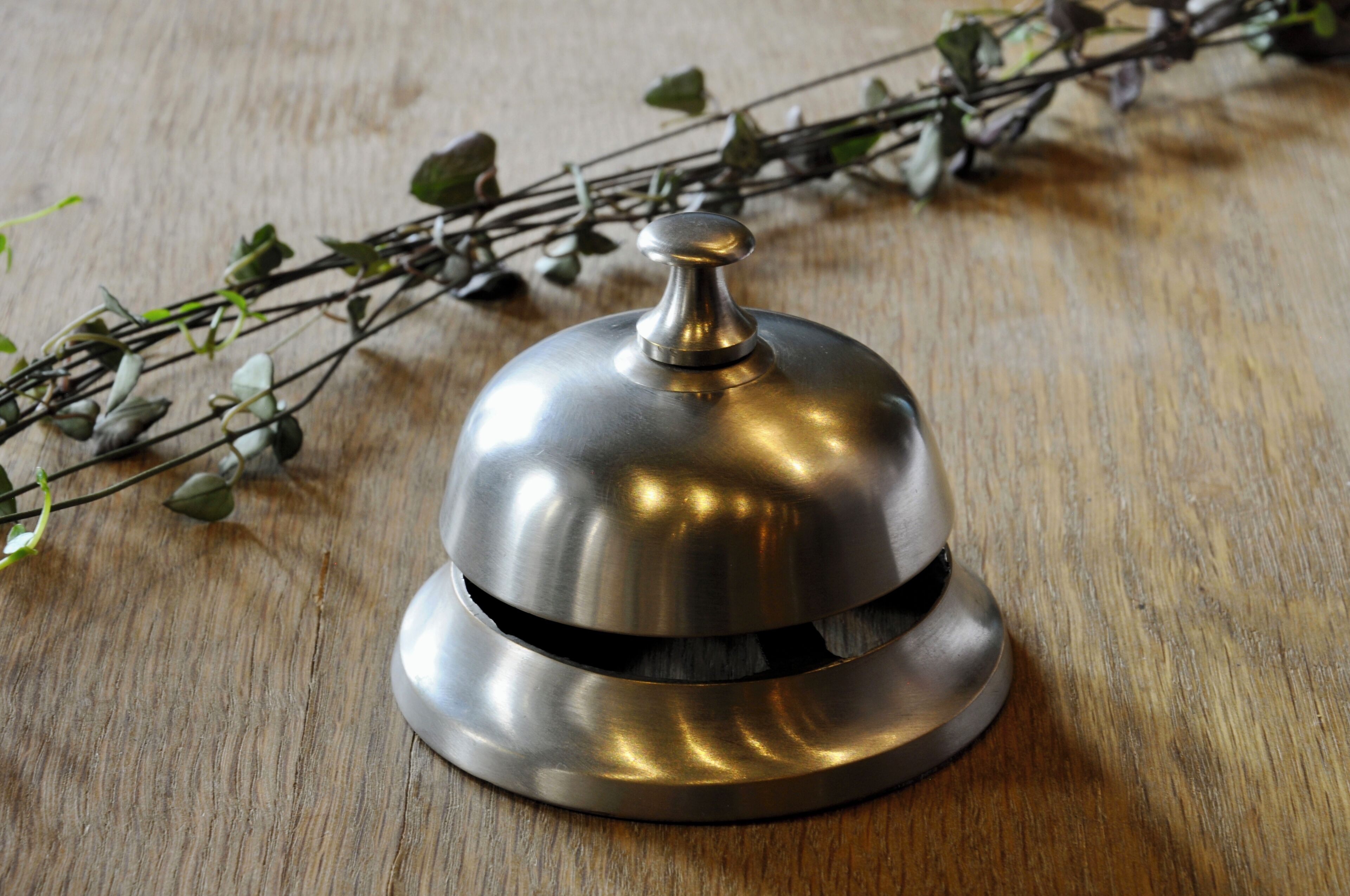 Photo - Hôtel Tête d'or