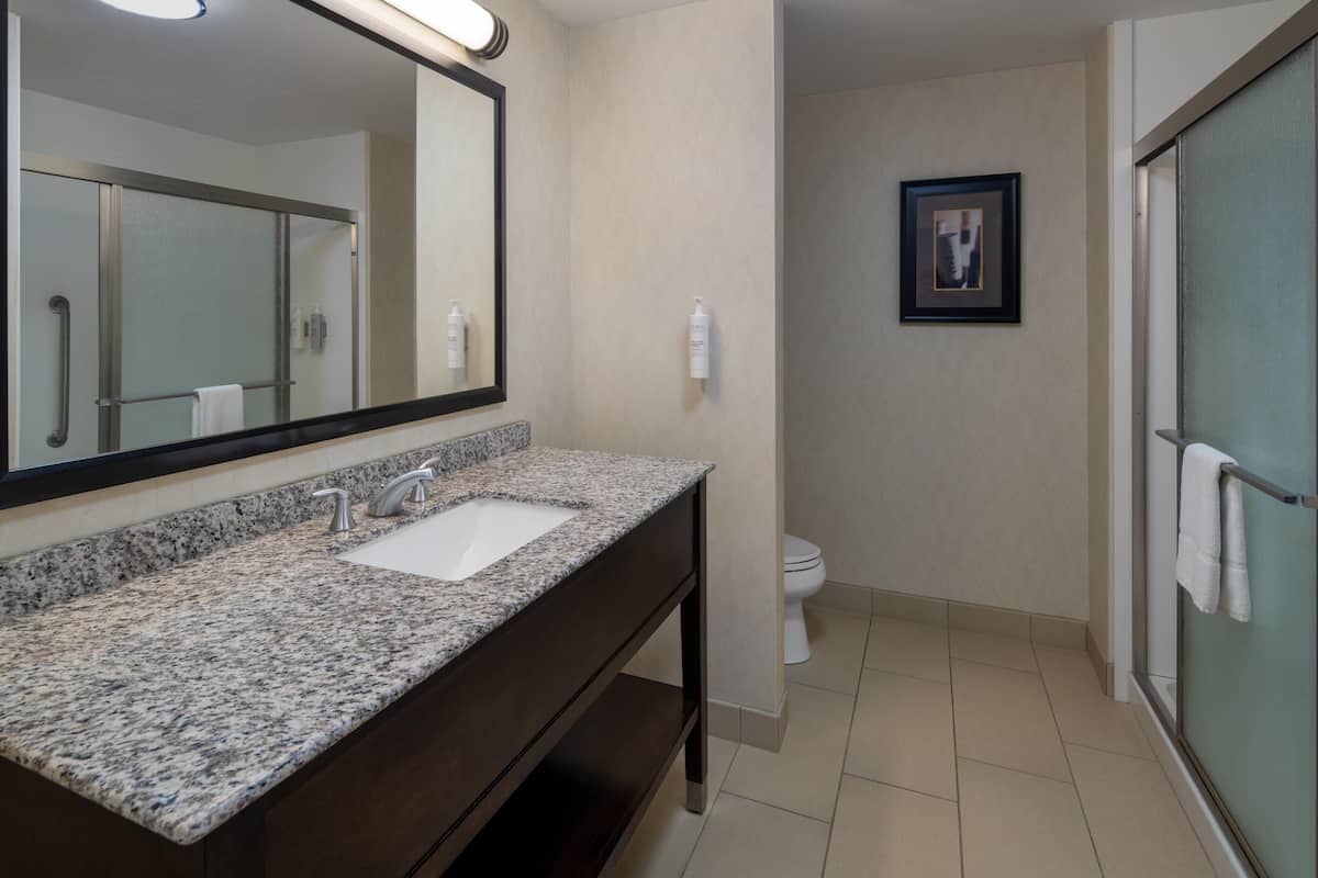A bathroom with a granite countertop sink, a large mirror, and a toilet.