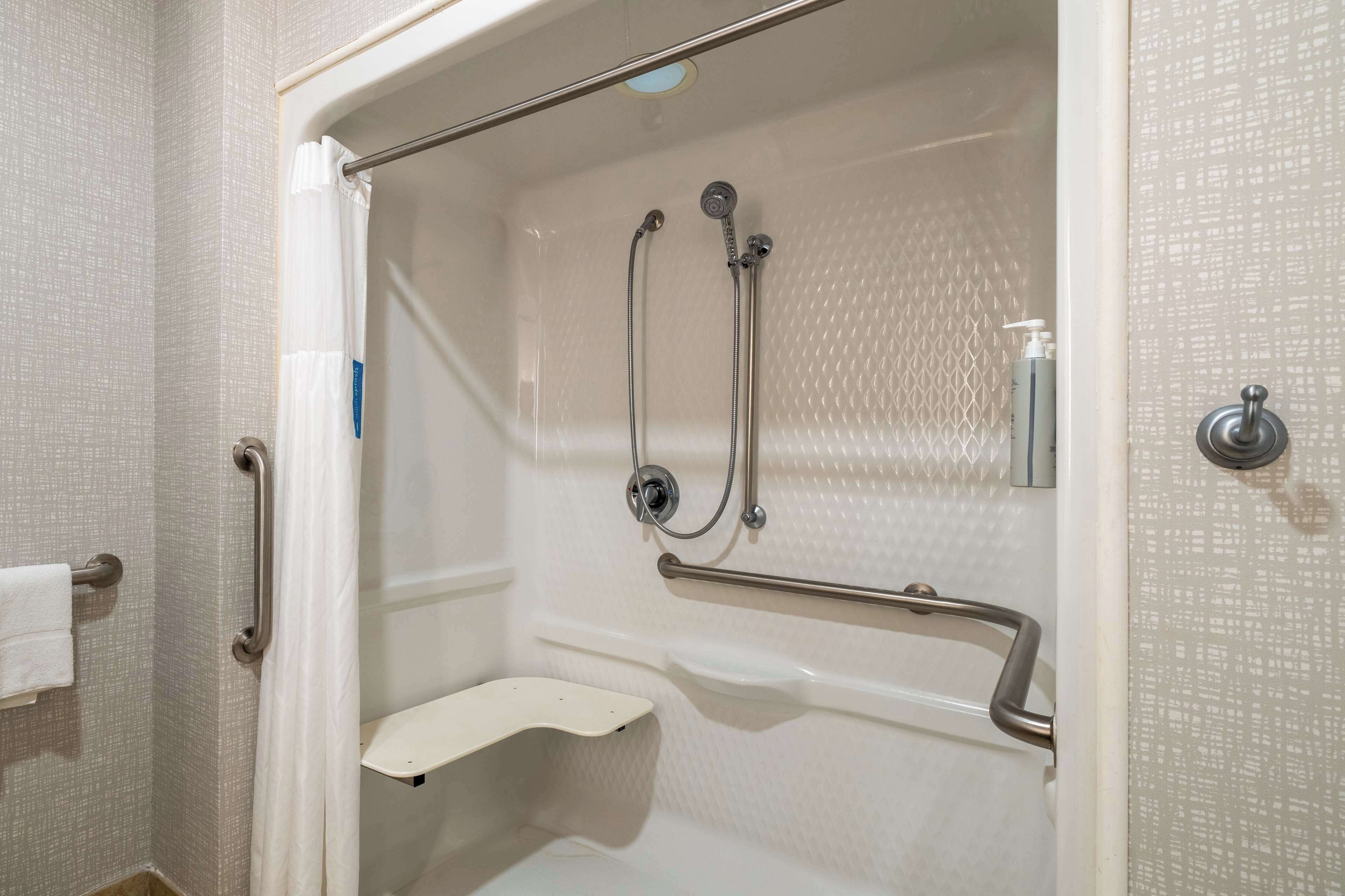 room, 1 king bed, accessible, non smoking | bathroom shower