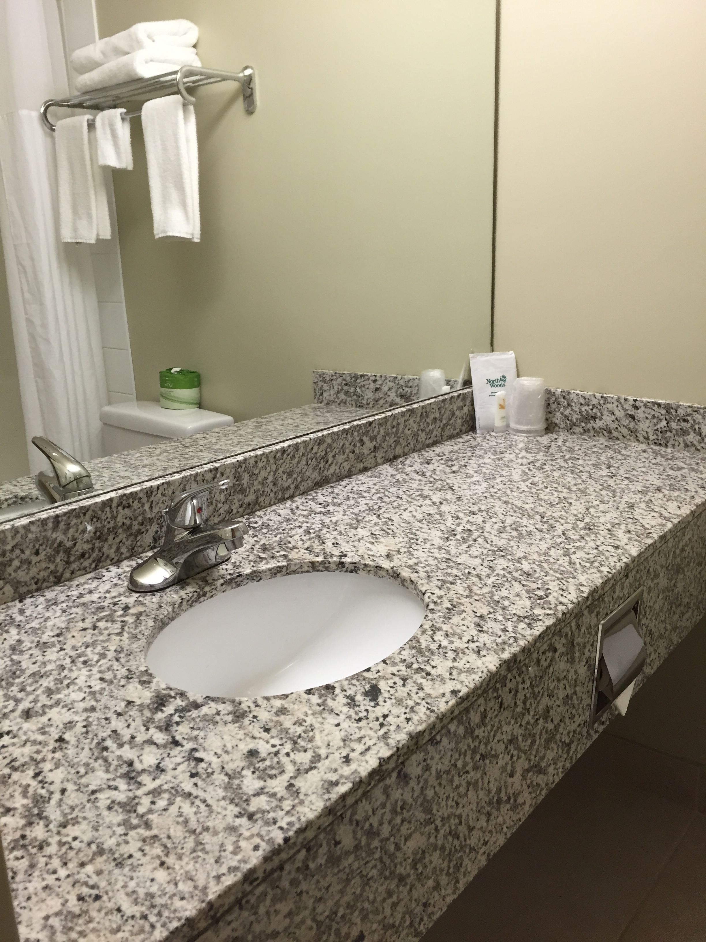 combined shower/bathtub, free toiletries, hair dryer, towels
