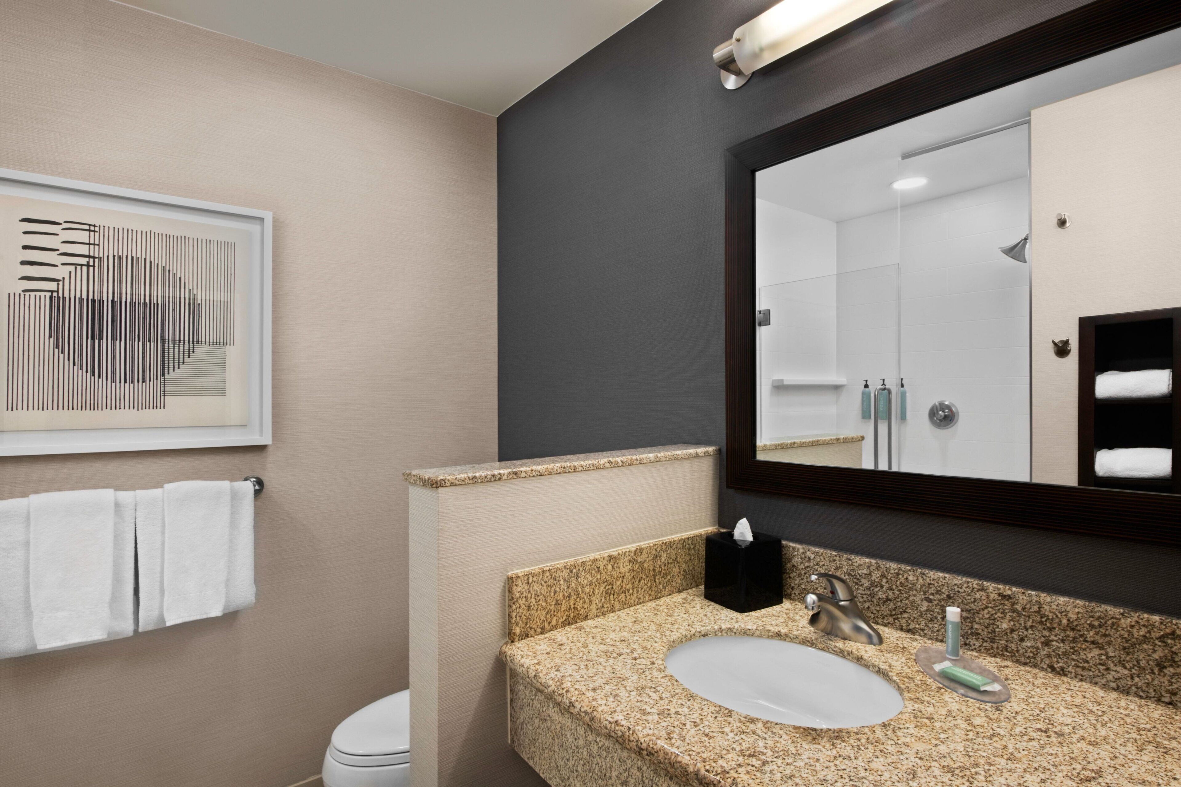 shower, free toiletries, hair dryer, towels