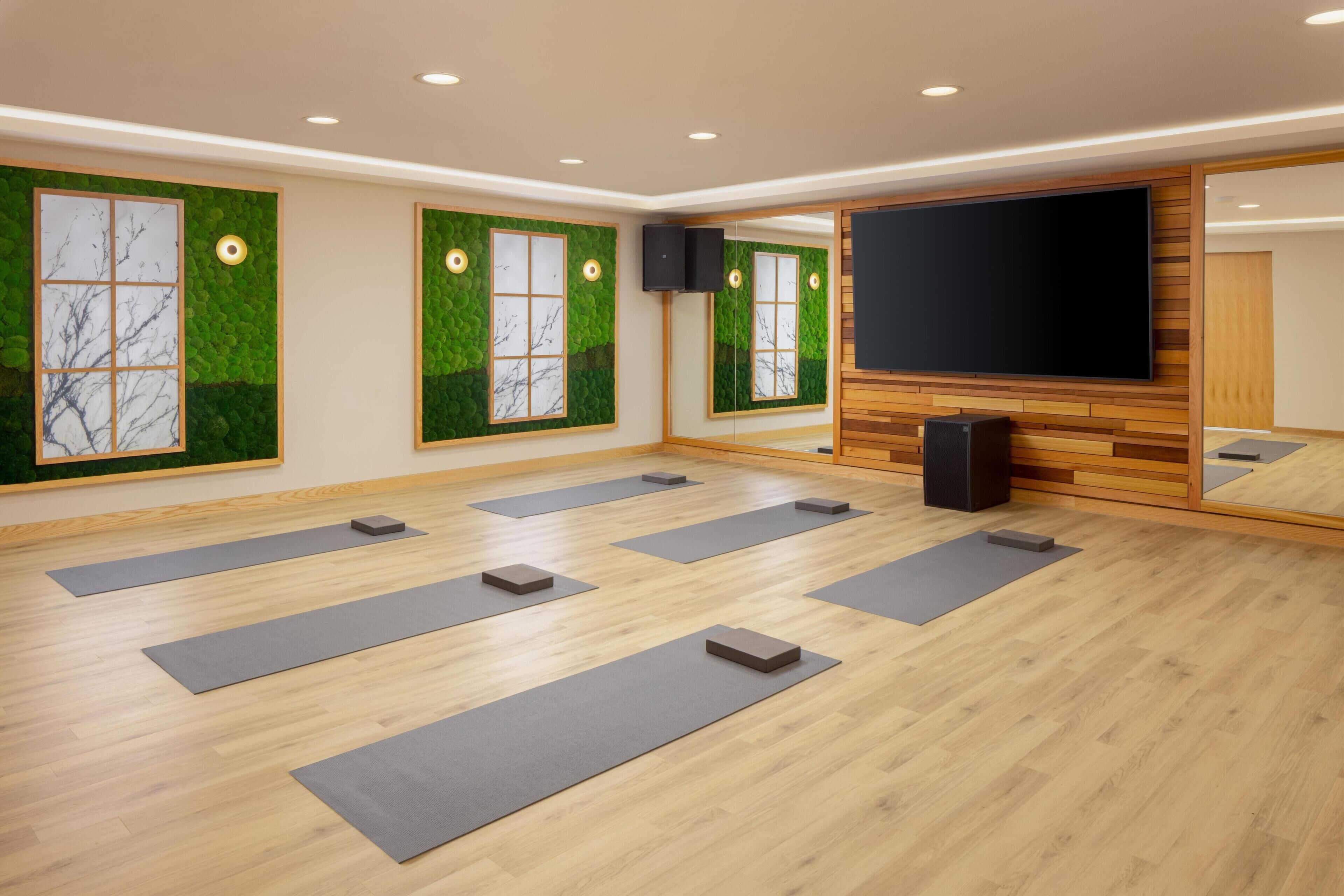 A room with wooden flooring, large windows with green foliage, a flat-screen TV, and yoga mats arranged on the floor.