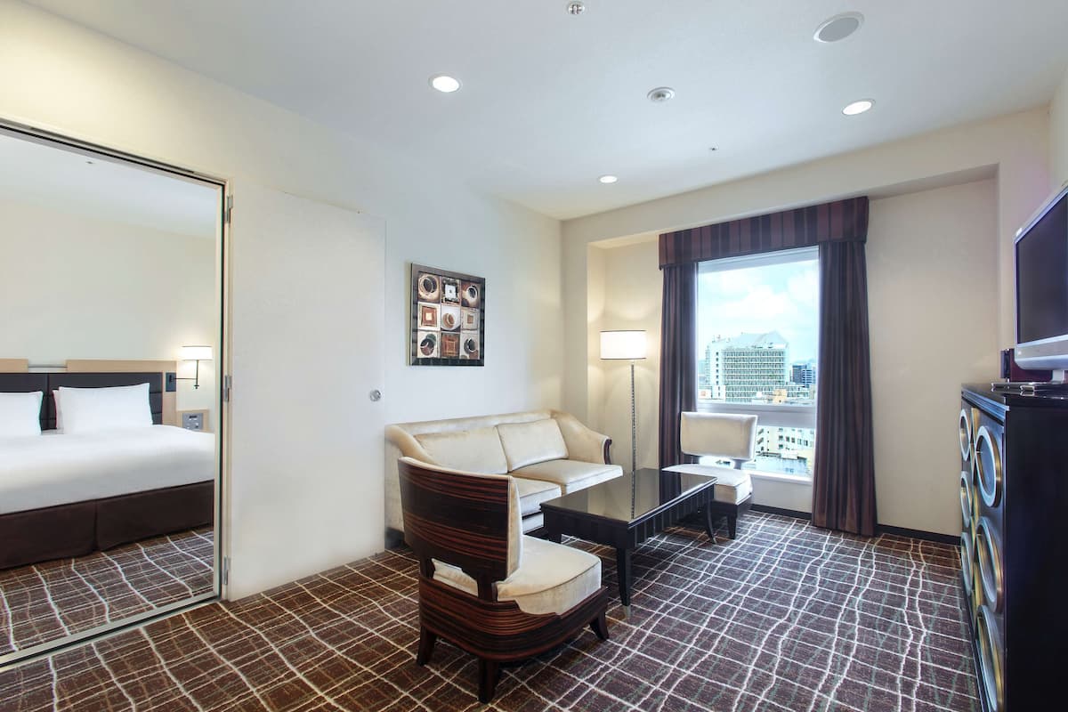 1 King Bed Suite