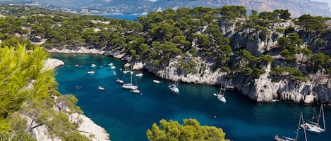 Servicio de la propiedad