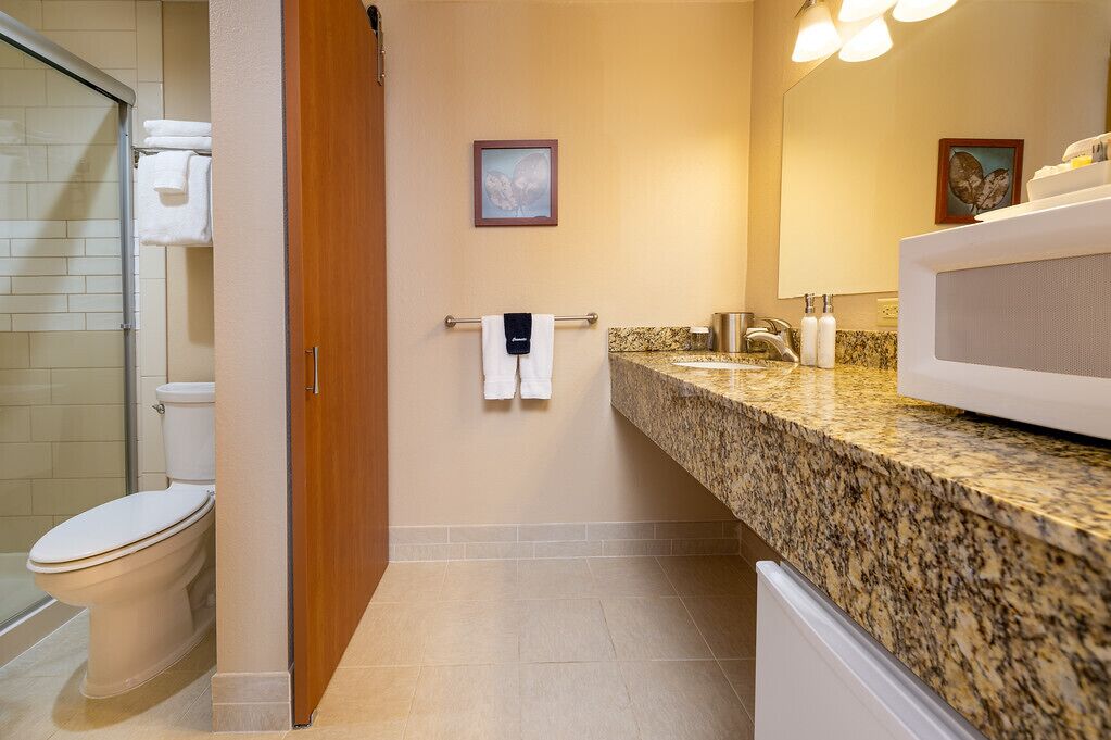 Un baño con inodoro, ducha, tocador de granito y espejo.