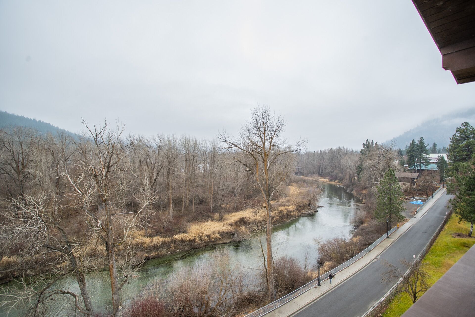 A river flowing through a forested area with a road alongside.