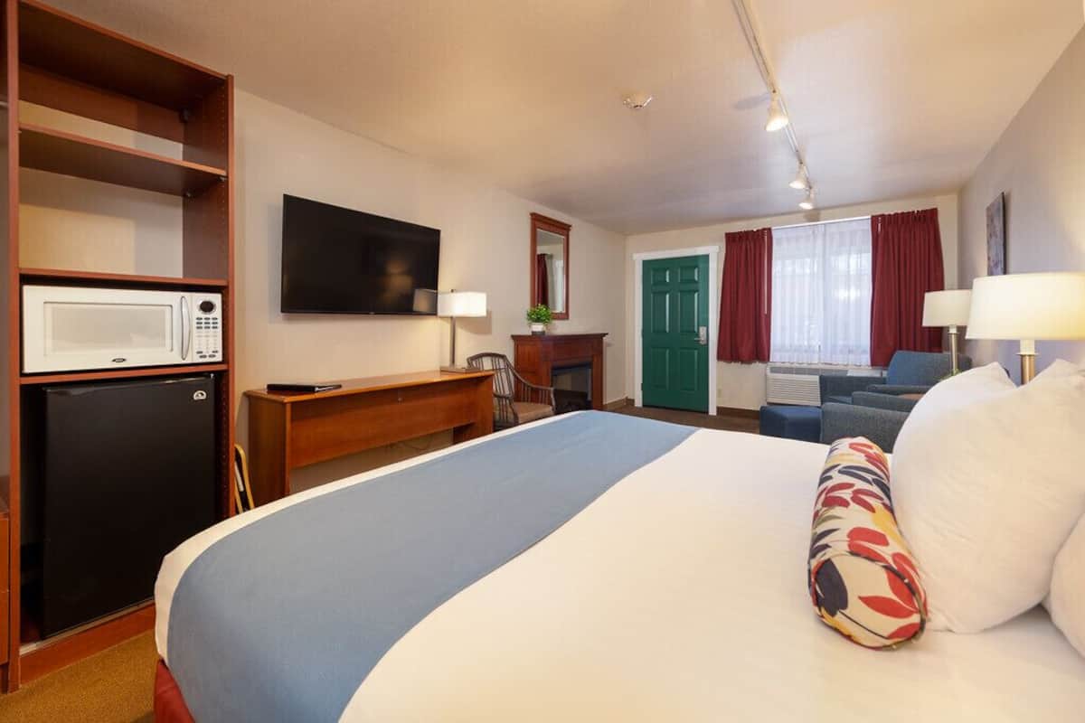 Una habitación de hotel con una cama, escritorio, microondas, televisor, chimenea y sofá.