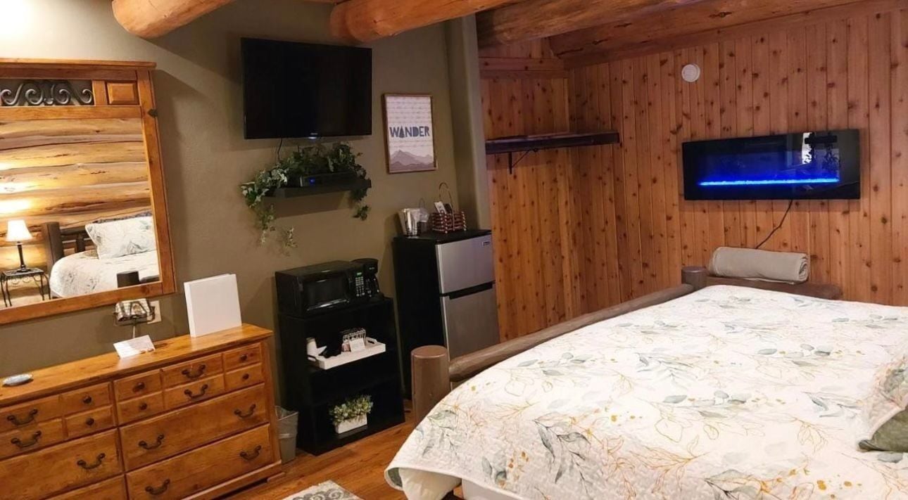 Une pièce aux murs lambrissés, contenant un lit, une commode, un téléviseur et un tableau encadré.