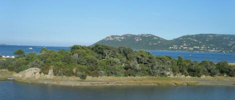 A coastal landscape with a body of water, dense greenery, and distant hills.