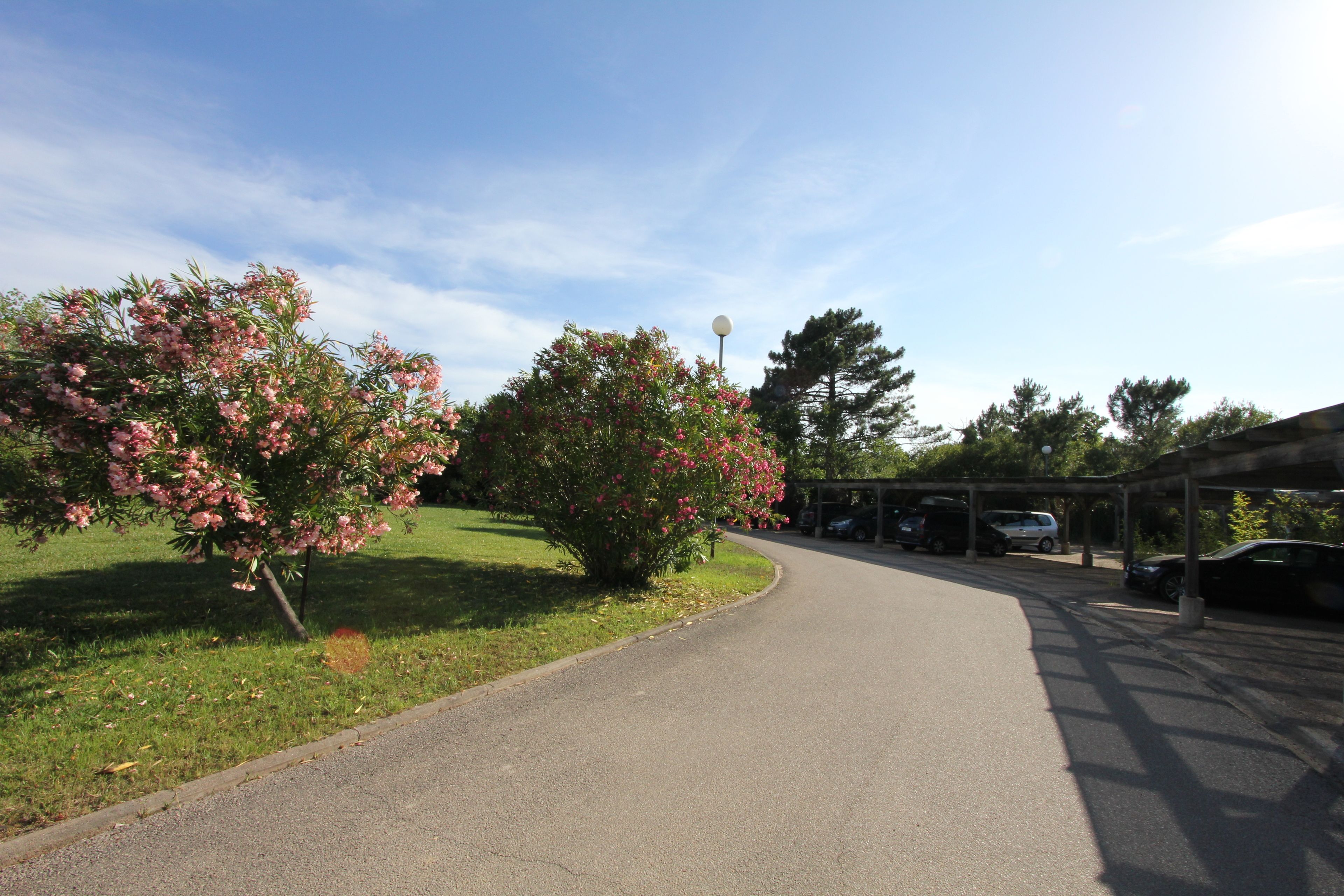 A paved pathway leading to a covered parking area with cars parked.