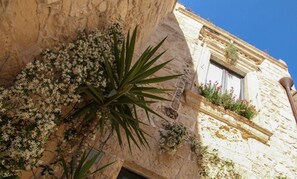 A building with a stone facade, a window with a flower box, and a plant with long leaves. - B&B Demetra (Lecce)