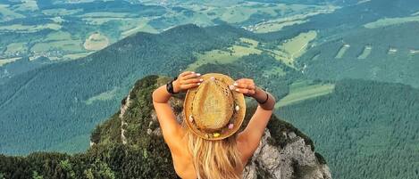 Una persona sentada sobre un afloramiento rocoso contemplando un extenso paisaje con colinas onduladas y bosques.