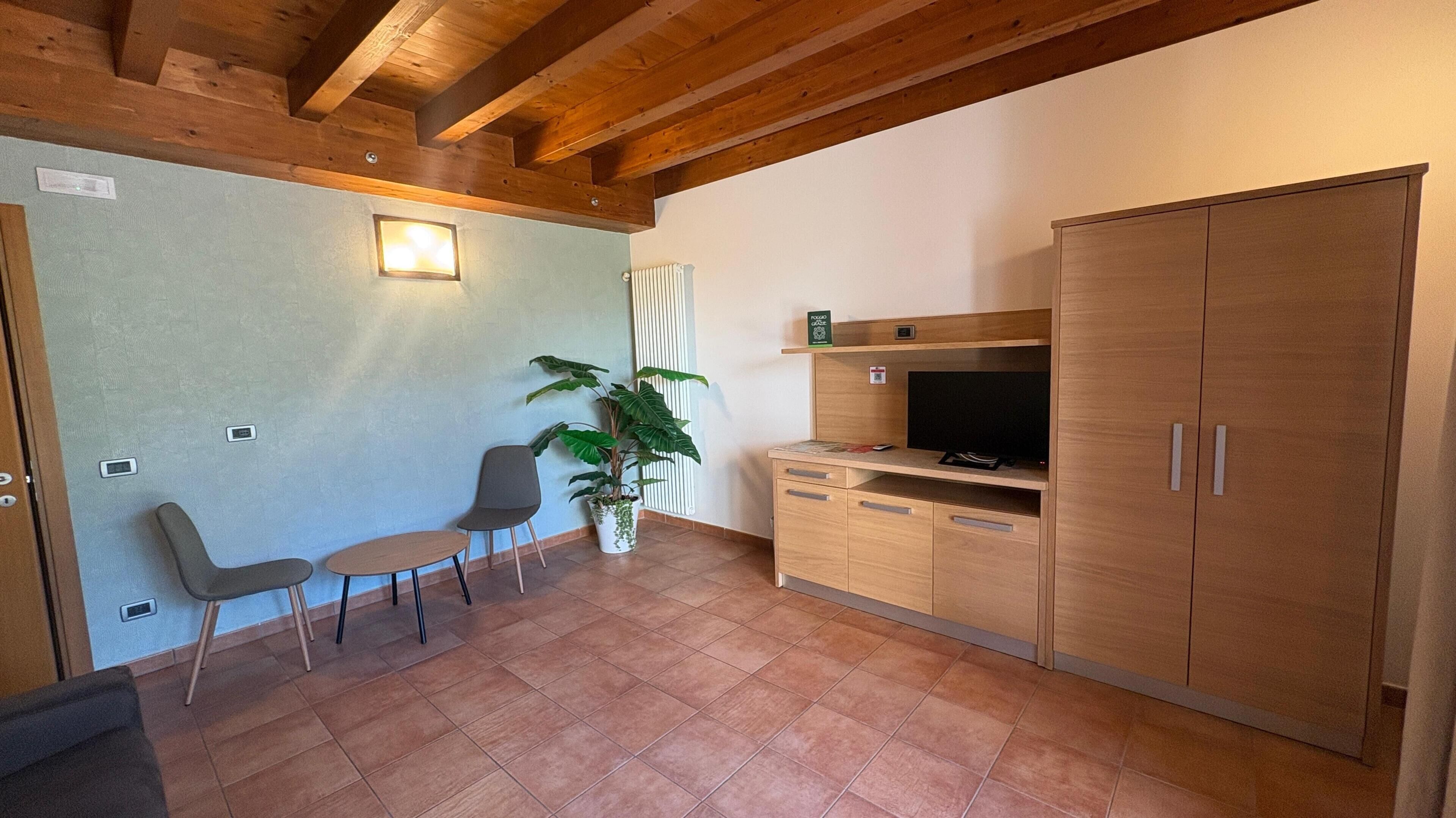Een kitchenette met een televisie, houten kastjes, een plant en twee stoelen.