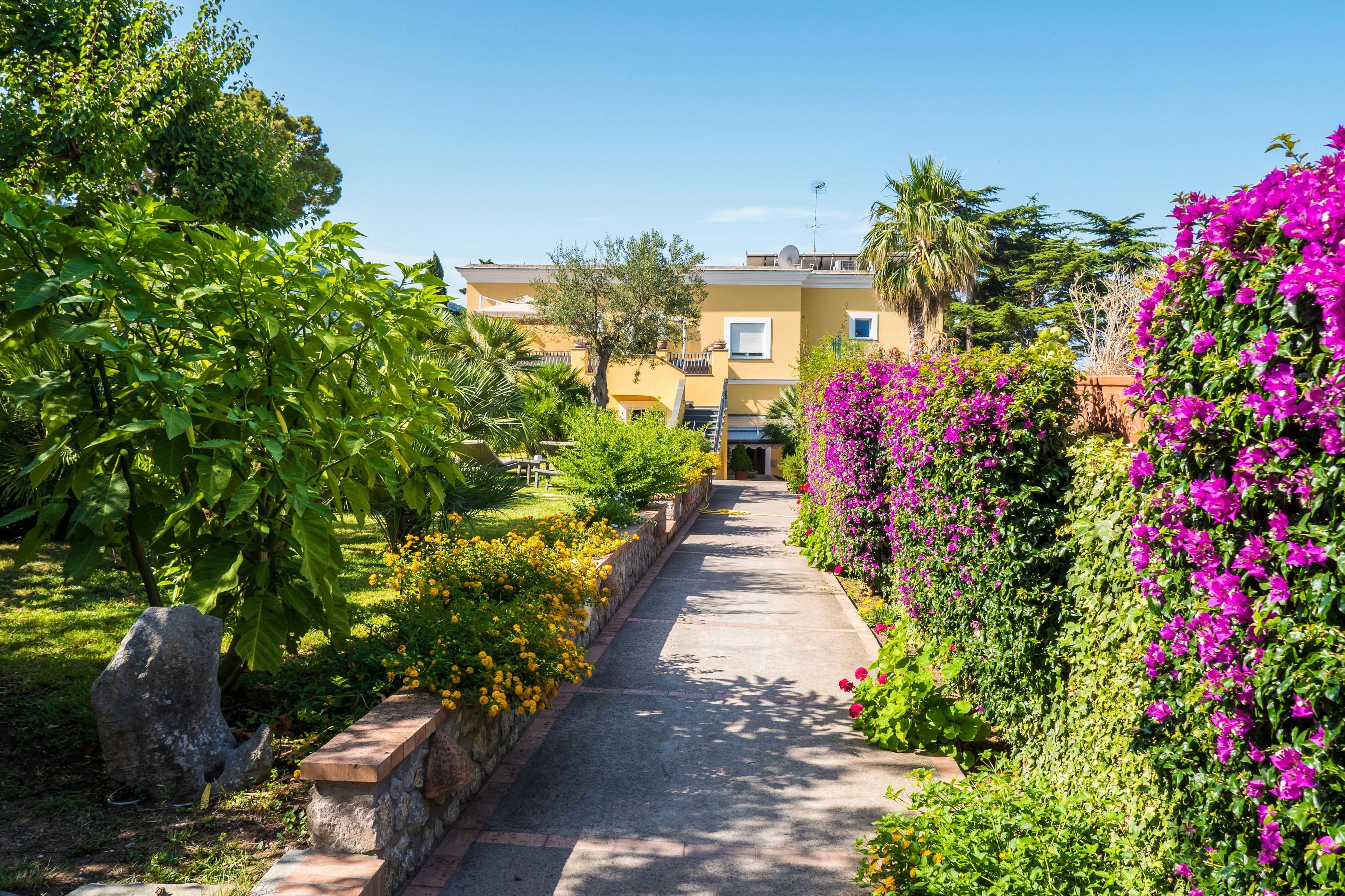 A pathway lined with vibrant flowers and greenery, leading to a building with a yellow facade and a visible window.