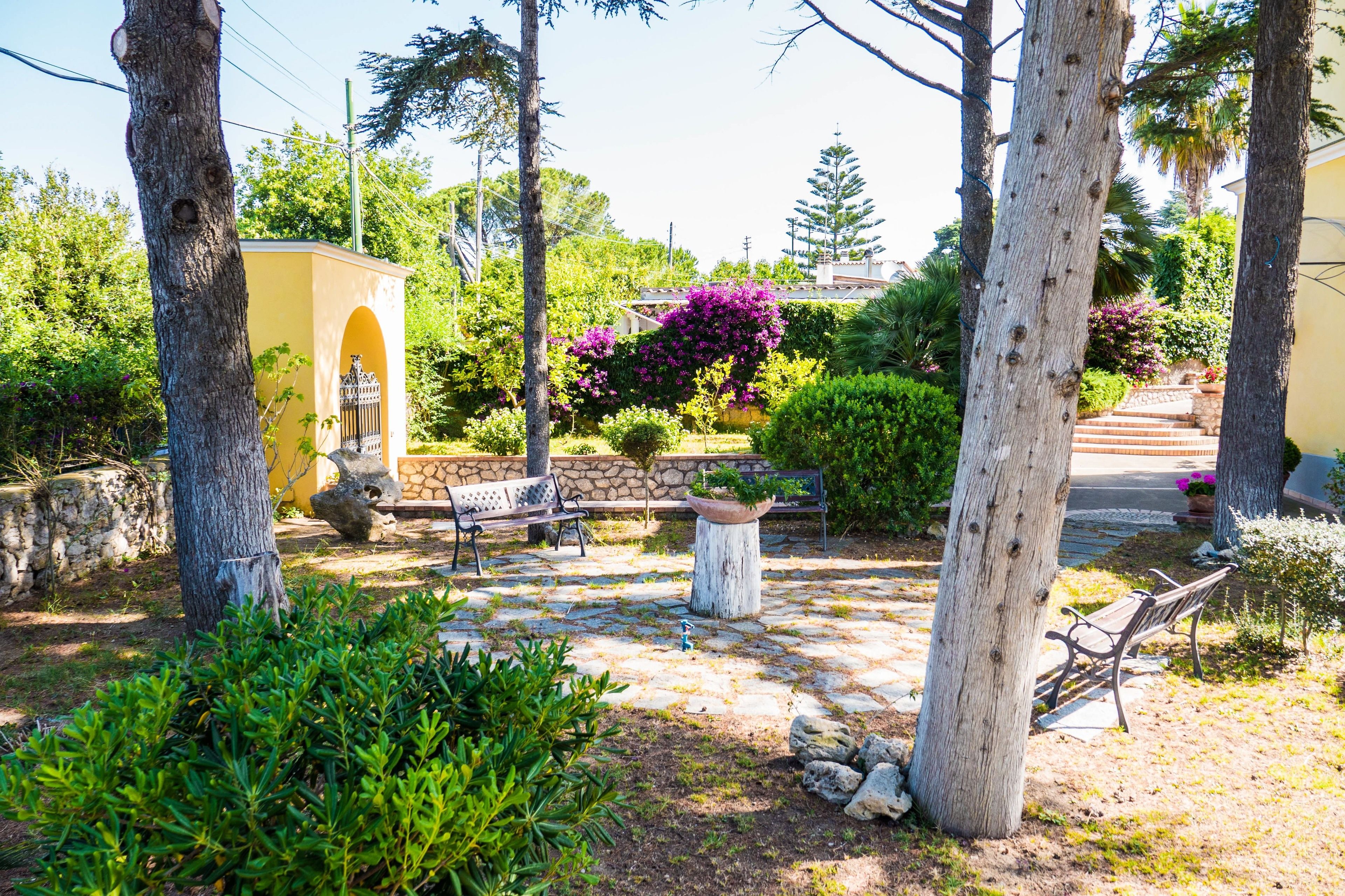 Un patio con suelo de piedra, bancos, un pequeño edificio amarillo y abundante vegetación.