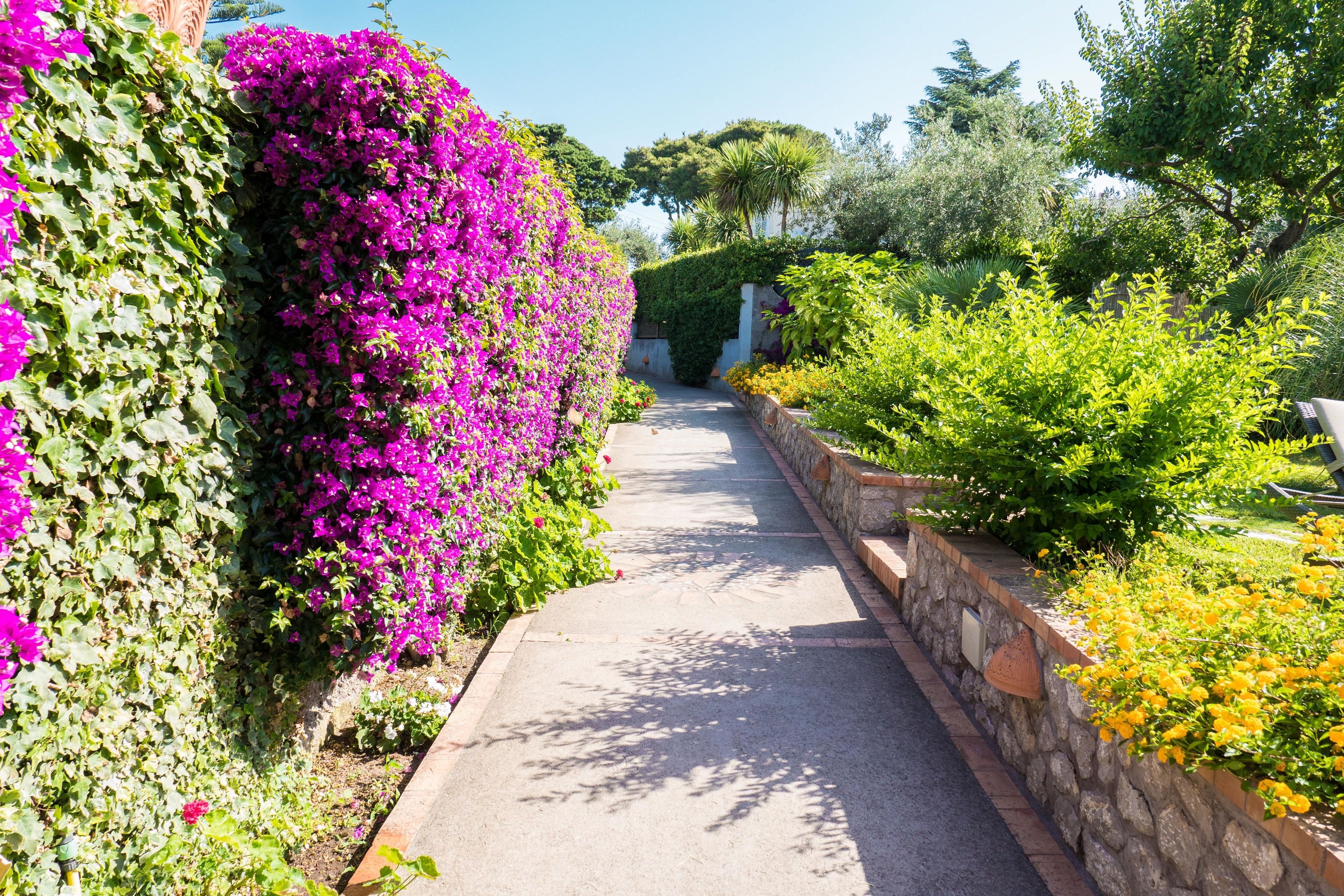 Photo - Hotel Villa Ceselle