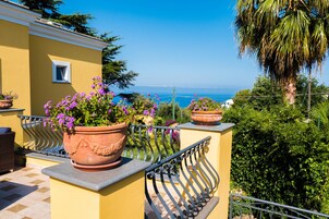 Vista desde la propiedad