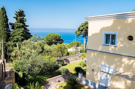 A residential property with a view of the sea, a garden with various plants, and a stone wall.