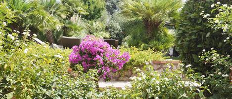 Un jardin où l’on trouve différentes plantes et fleurs, notamment un arbuste remarquable aux fleurs violettes.