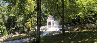 Hôtel Les Afforêts