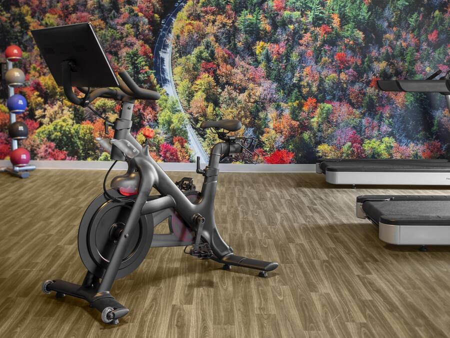 An indoor exercise area with a stationary bike, a treadmill, and a wall with a colorful nature mural.
