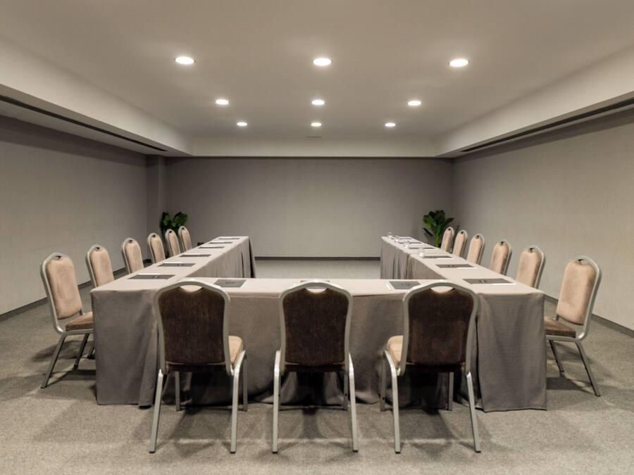 A conference room with a long table, chairs, and ceiling lights.