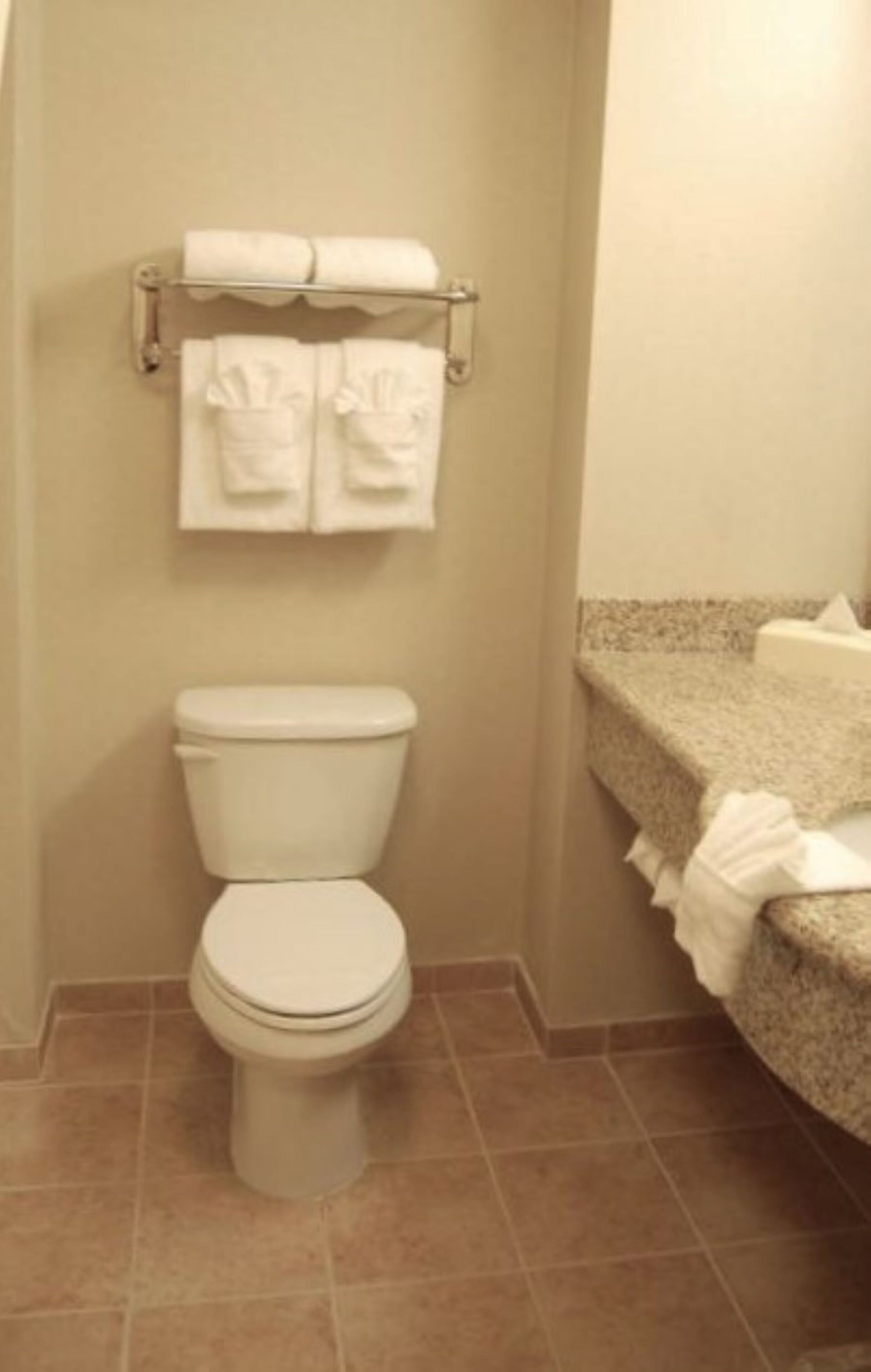 combined shower/bathtub, free toiletries, hair dryer, towels