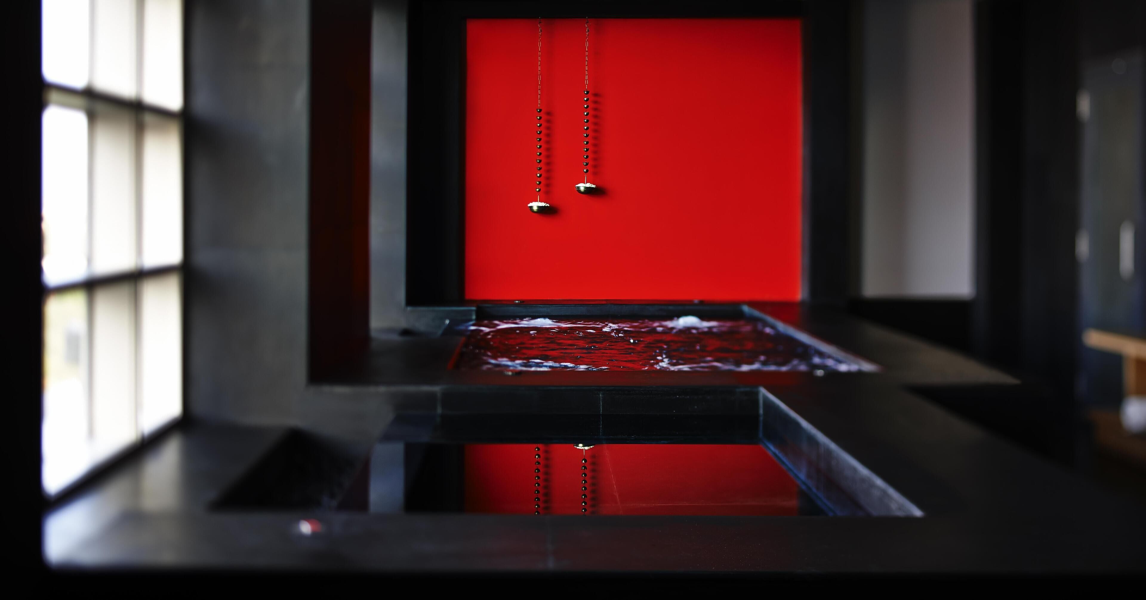 A room with a red door and a black floor.