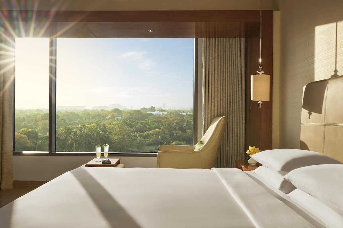 Habitación, 1 cama King size, vista al parque | Ropa de cama de alta calidad y minibar