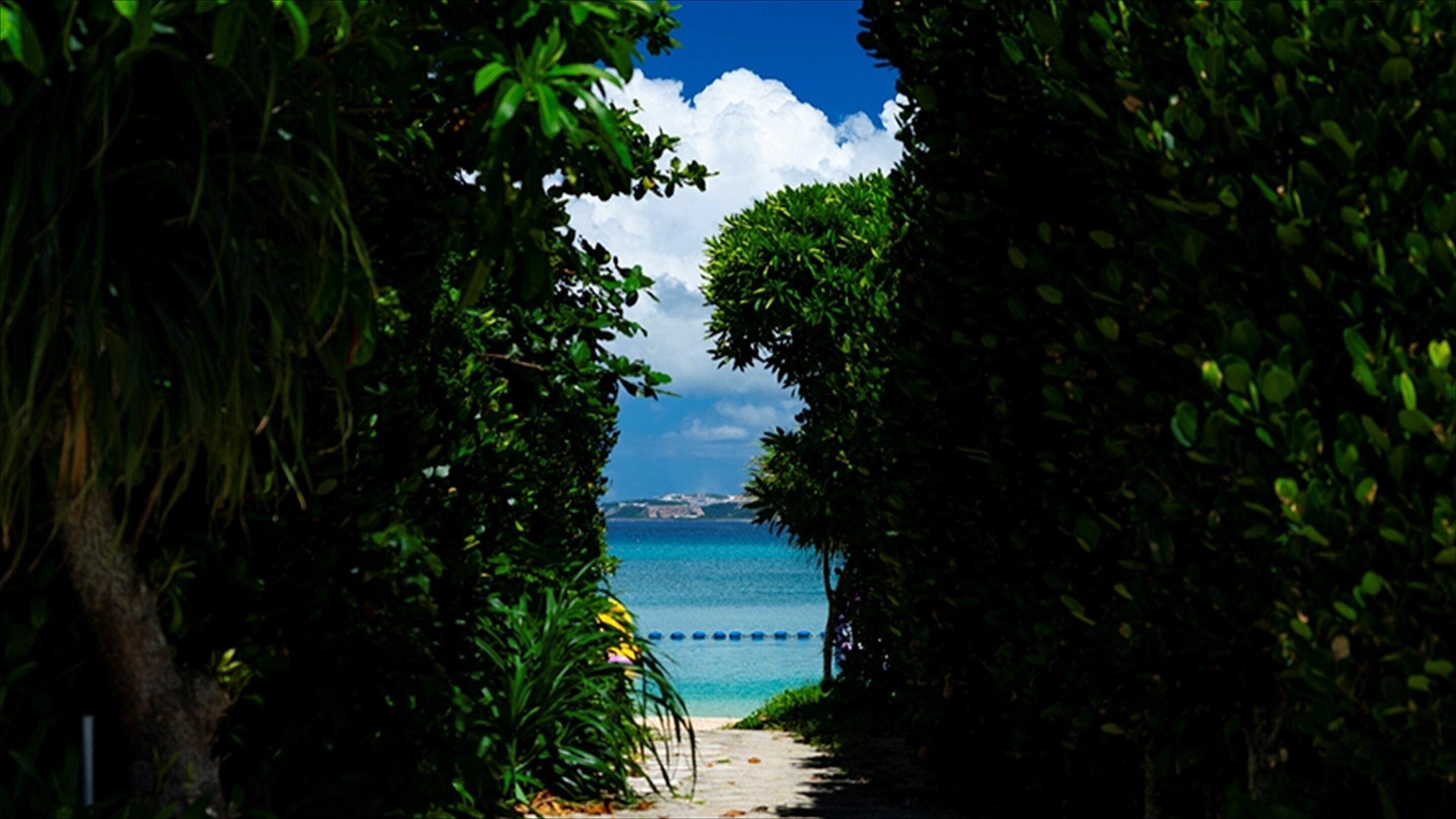 private beach, white sand, sun-loungers, beach umbrellas