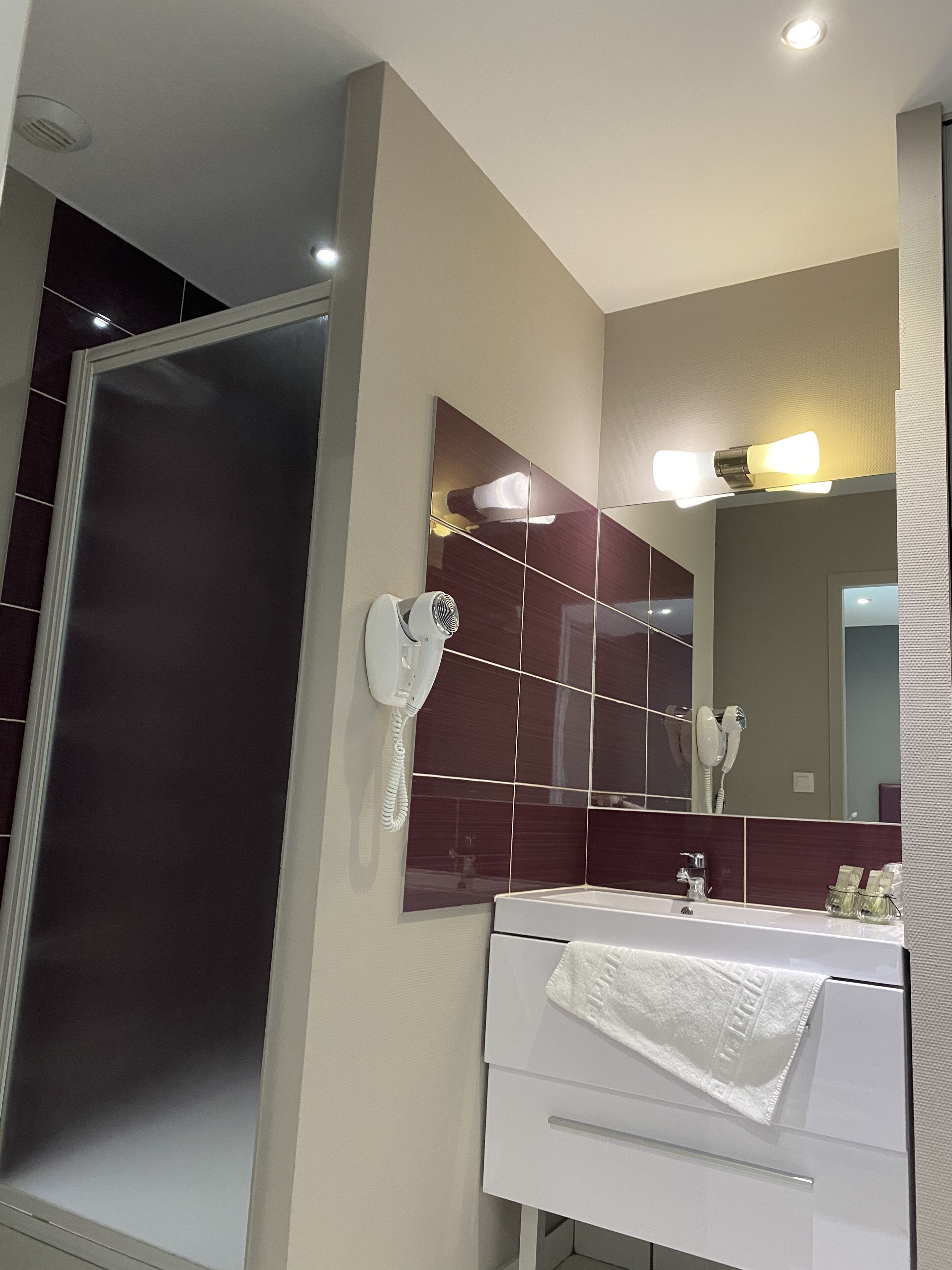 shower, free toiletries, hair dryer, towels